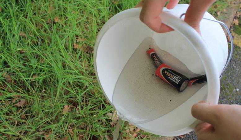 Did you know old battery acid kills weeds? Try it for yourself.. Leave some old Batteries in water for a month until the water turns rusty then all you have to do it pour the water over the weeds to get rid of them!
